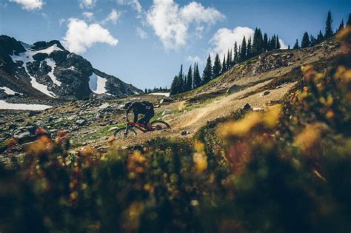 Global Mountain Bike Network video statistics