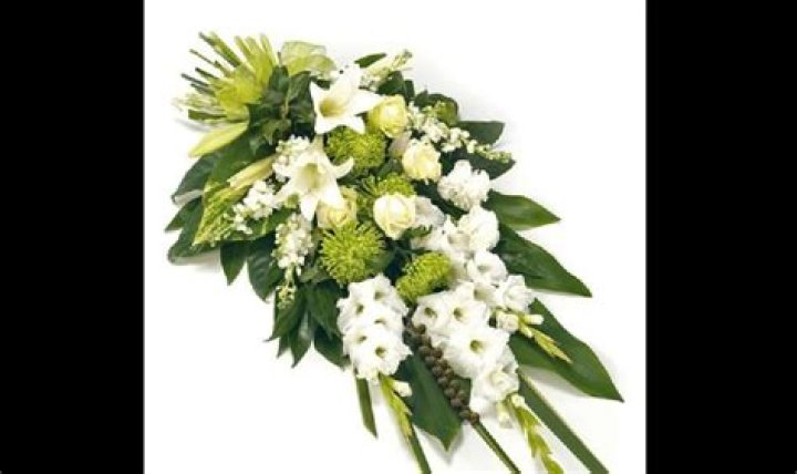 John Hoyt Obituary Death Cause Age And Biography